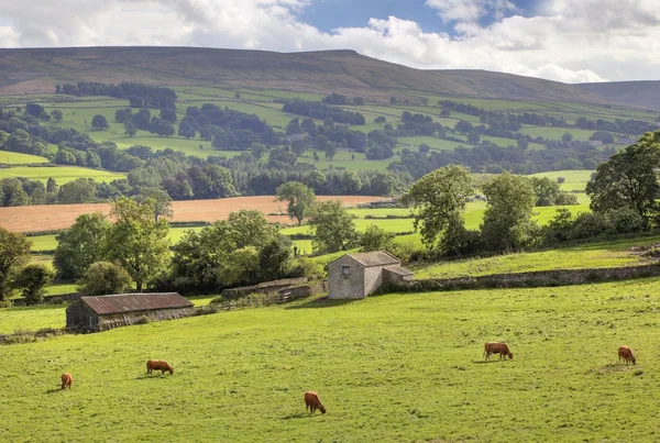 Middleham, Yorkshire — Stock fotografie