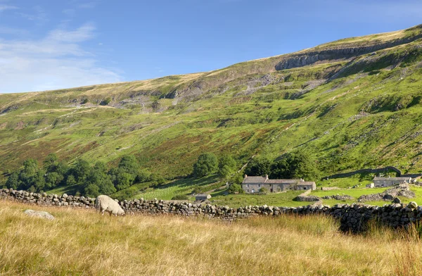 Yorkshire Dales — Stock Photo, Image