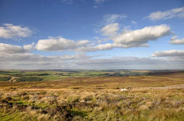 Paisaje de Yorkshire — Foto de Stock