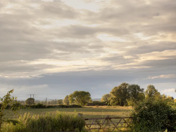 Field and gate background — Stock Photo, Image