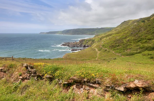 Costa de Devon en primavera — Foto de Stock