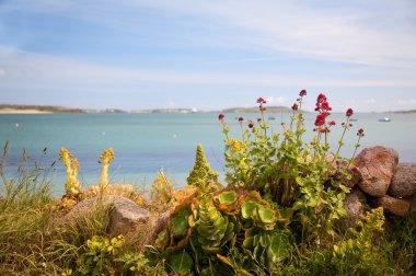 Paris'e, Scilly Adaları
