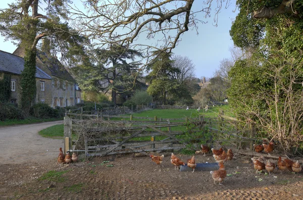 Village anglais avec ferme et poulets — Photo