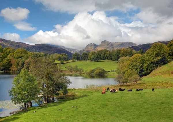 Próximo tarn, cumbria — Fotografia de Stock