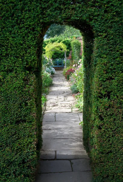 Yew arch, engelsk trädgård — Stock fotografie