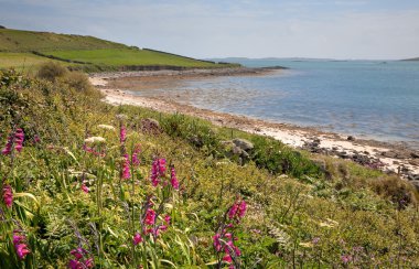 Tresco, Scilly Adaları