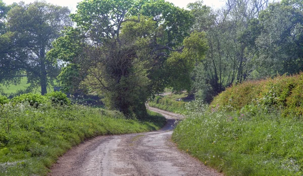 Ładny angielski lane — Zdjęcie stockowe