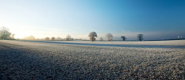 Cotswold jordbruksmark i vinter — Stockfoto