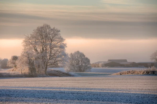Cotswolds kışlar sabah — Stok fotoğraf