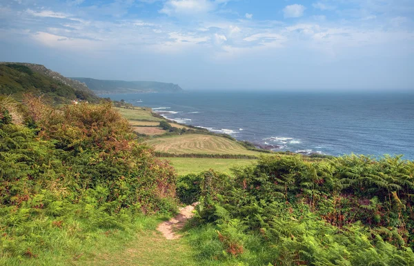 Wybrzeża Devon — Zdjęcie stockowe