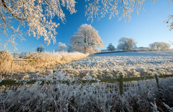 Terras agrícolas inglesas no inverno — Fotografia de Stock