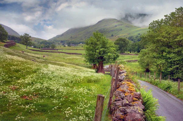 Grasmere, schwerfällige — Stockfoto