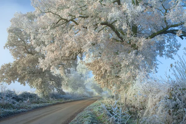 Hoar Frost, Cotswolds — Stockfoto