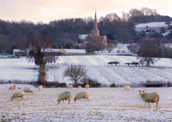 Winterzeit in den Cotswolds — Stockfoto