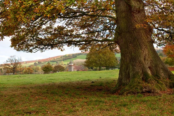 Shropshire rural — Foto de Stock