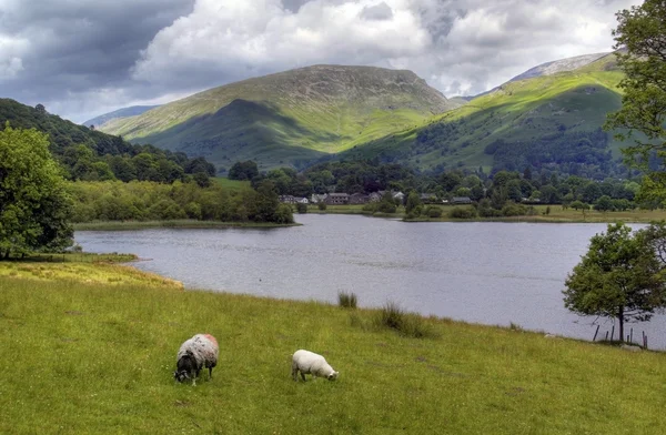 Grasmere. — Fotografia de Stock