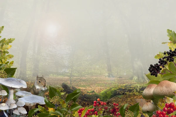 Herfst achtergrond — Stockfoto