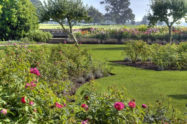 Jardín de rosas, Warwickshire — Foto de Stock