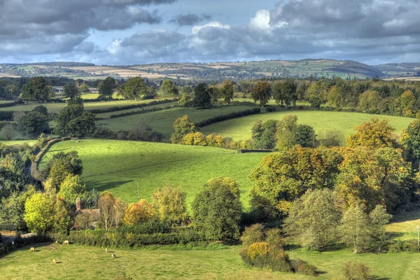 Rural Shropshire — Stockfoto