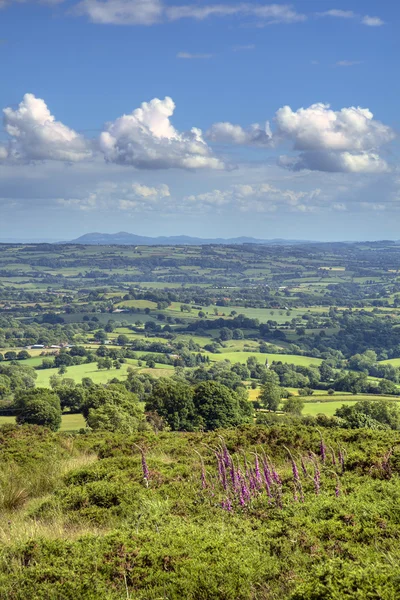 Uitzicht over worcestershire — Stockfoto