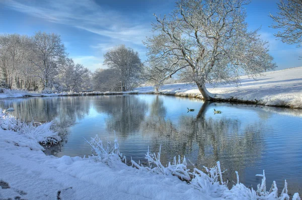 Lago de Inverno, Worcestershire — Fotografia de Stock