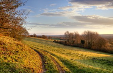 Morning landscape, England clipart