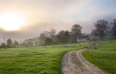 Gloucestershire sabah