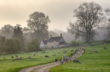 Gloucestershire sabah