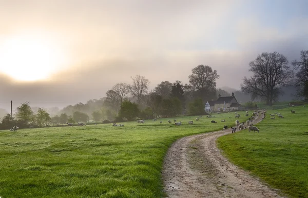 Gloucestershire morgon — Stockfoto