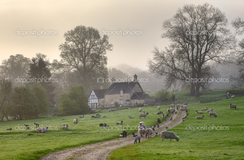 Gloucestershire πρωί — Φωτογραφία Αρχείου © andrewroland 45975811