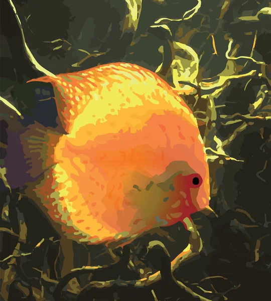 Vector pez naranja bajo el agua — Archivo Imágenes Vectoriales