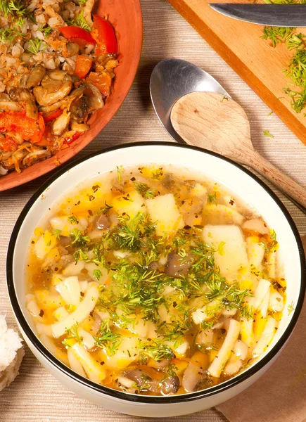 Sopa y trigo sarraceno — Foto de Stock