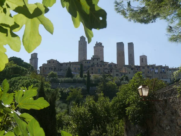 Panorama Van Torens Van Het Oude Centrum Van San Gimignano — Stockfoto