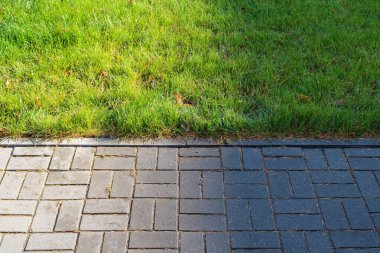 Çimlerin kesişiminde ışık ve gölge ve asfalt döşeme levhalar yeşil ve gri, dökülen sedir iğneleri ise sulu arka planda çelişiyor.