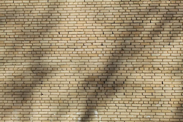Wall Made Yellow White Brick Aged Laid Cement Shadows Trees — Stock Photo, Image