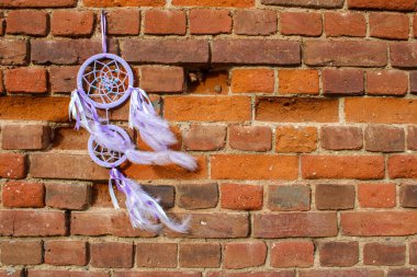 Rüzgarda sallanan tüylü leylak renkli düş kapanı eski bir tuğla duvarın arka planıyla sokakta asılı duruyor.