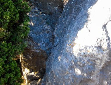 Dağların arasındaki kaya kırıklarından oluşmuş dokulu taşlar ve güneşin altında ve gölgede yeşil köknar dalları.