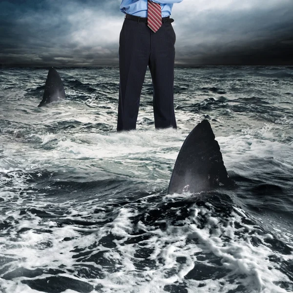 Businessman surrounded by shark — Stock Photo, Image