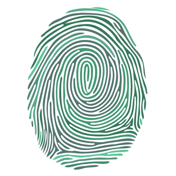 Vector green fingerprint on white background — Stock Vector