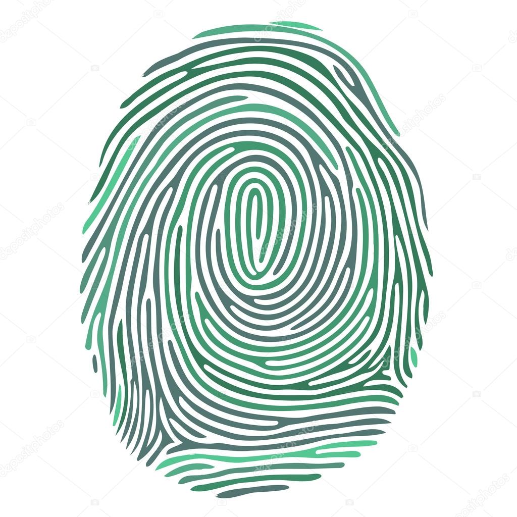 Vector green fingerprint on white background