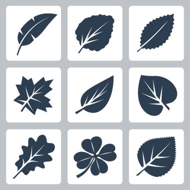 Vector tree leaves icons set clipart