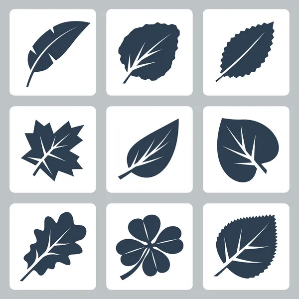 Vetor árvore folhas ícones conjunto —  Vetores de Stock
