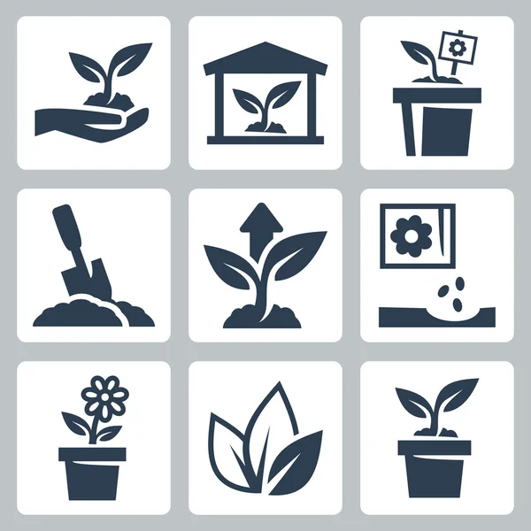 Vector plant groeit icons set — Stockvector