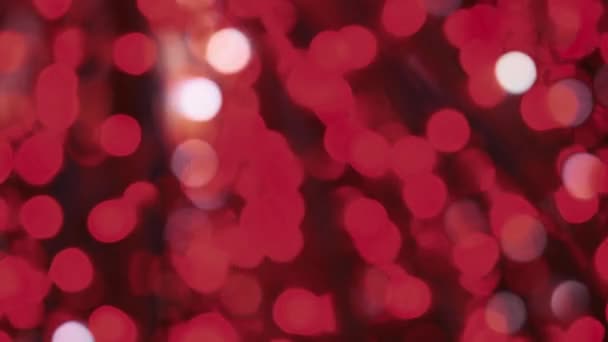 Homályos Karácsonyi Fények Ragyognak Piros Gamma — Stock videók