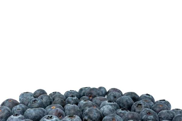 Χούφτα Φρέσκα Blueberry Κάτω Γραμμή Του Πλαισίου Στο Φως Φόντο — Φωτογραφία Αρχείου