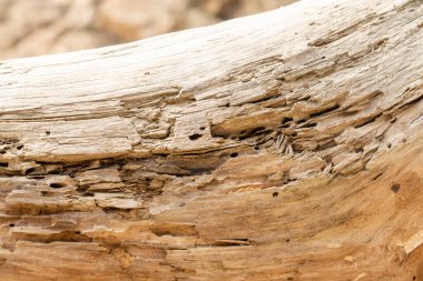 High waves Coming on to the Rocky Shores of Costa Brava in Spain, cloudy weather