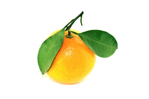 Färsk apelsin mandarin — Stockfoto