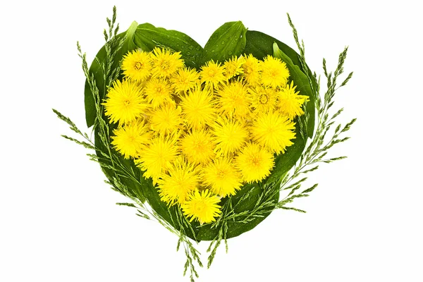 Heart of dandelions on a background of leaves — Stock Photo, Image