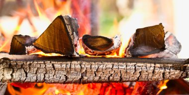 Firewood burning in the brazier clipart