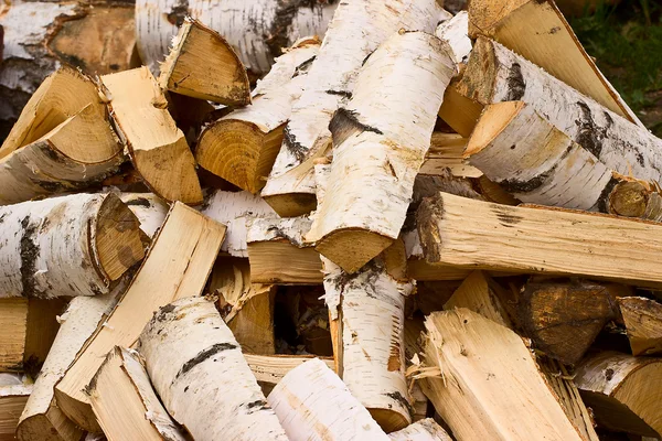 Stapel van een berken brandhout — Stockfoto